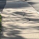 Sidewalk Repair at 128 Beaconsfield Rd