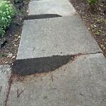 Sidewalk Repair at 76 Beaconsfield Rd