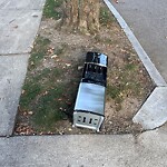 Trash/Recycling at 169 Buckminster Rd