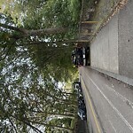 Sidewalk Obstruction at 73–99 Chapel St, Brookline 02446
