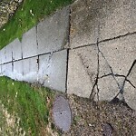 Sidewalk Repair at 1140 W Roxbury Pkwy, Chestnut Hill 02467