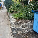 Dead Animals at 10 Davis Ave