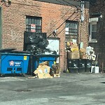 Trash/Recycling at 1022 Commonwealth Ave, Boston