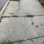 Sidewalk Repair at 75 Sumner Rd