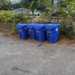 Recycling at 197 Rawson Rd