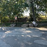 Trash/Recycling at 76–98 Tully St, Chestnut Hill