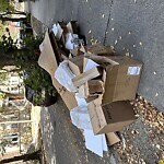 Trash/Recycling at 16 Euston St