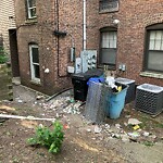 Rodent Issues at Summit Path