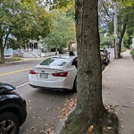 Parking Issues at 91 Chestnut St