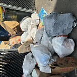 Rodent Issues at 1290 Beacon St