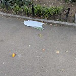 Park Playground at 19 Waverly St