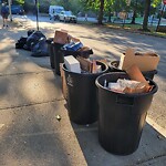 Trash/Recycling at N42.35 E71.12