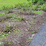 Park Playground at Olmsted Park, Emerald Necklace Trail, Brookline 02445