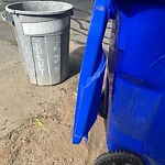 Recycling at 42.34 N 71.12 W