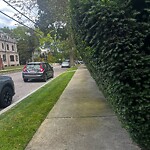 Sidewalk Obstruction at 58 Euston St