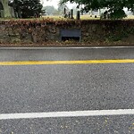 Sidewalk Obstruction at 649–673 Heath St, Chestnut Hill
