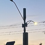 Streetlight at 1695 Beacon St
