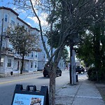 Public Trees at 42.34 N 71.12 W