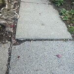 Sidewalk Repair at 96 Chestnut St Sidewalk Repair at 96 Chestnut St