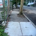 Sidewalk Repair at 90 Chestnut St Sidewalk Repair at 90 Chestnut St