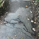 Sidewalk Repair at 100 Chestnut St Sidewalk Repair at 100 Chestnut St