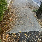 Sidewalk Repair at 230–258 High St Sidewalk Repair at 230–258 High St