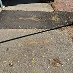 Sidewalk Repair at 42.333N 71.119W Sidewalk Repair at 42.333N 71.119W