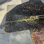 Sidewalk Repair at 6 Harvard Square Sidewalk Repair at 6 Harvard Square