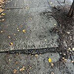Sidewalk Repair at 99 Harvard St Sidewalk Repair at 99 Harvard St