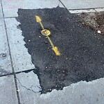 Sidewalk Repair at 111 Harvard St
