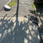 Sidewalk Repair at 7 Harvard Ave