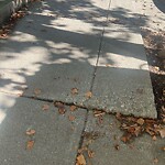 Sidewalk Repair at 471 Washington St