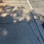 Sidewalk Repair at 28 Park St