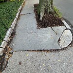 Sidewalk Repair at 68 Harvard Ave