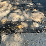 Sidewalk Repair at 27 Harvard Ave