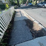 Sidewalk Repair at 48 Harvard Ave