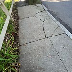 Sidewalk Repair at 68 Harvard Ave