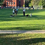 Other at 599 Brookline Ave Other at 599 Brookline Ave