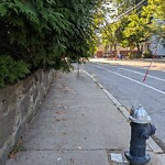 Sidewalk Obstruction at 215 Cypress St