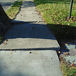 Sidewalk Repair at 69 Cleveland Rd, Chestnut Hill