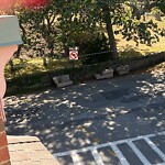 Trash/Recycling at 615 Heath St, Chestnut Hill