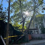 Other at 64 White Pl Other at 64 White Pl