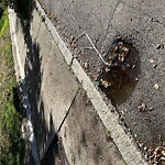 Pothole at 106 Longwood Ave