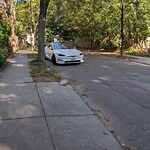 Parking Issues at 19 Oakland Rd