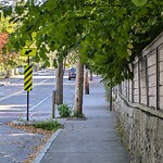 Sidewalk Obstruction at 182 Walnut St