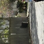 Sidewalk Obstruction at Regent Cir