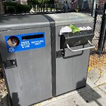 Trash/Recycling at 345 Harvard St