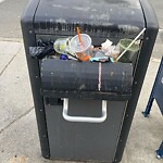 Trash/Recycling at 1298 Beacon St