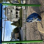 Park Playground at Cypress St Playground, Tappan St & Cypress St, Brookline 02445 Park Playground at Cypress St Playground, Tappan St & Cypress St, Brookline 02445