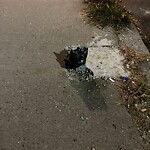Sidewalk Obstruction at 55–69 Fuller St